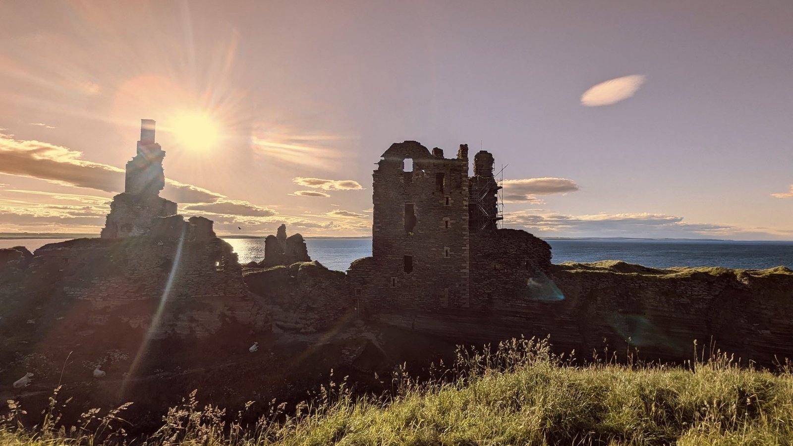 The ruins of Castle Sinclair Girnigoe silhouetted against a golden sunset on a sea-cliff promontory at Noss Head, Caithness, sheep grazing in the foreground.