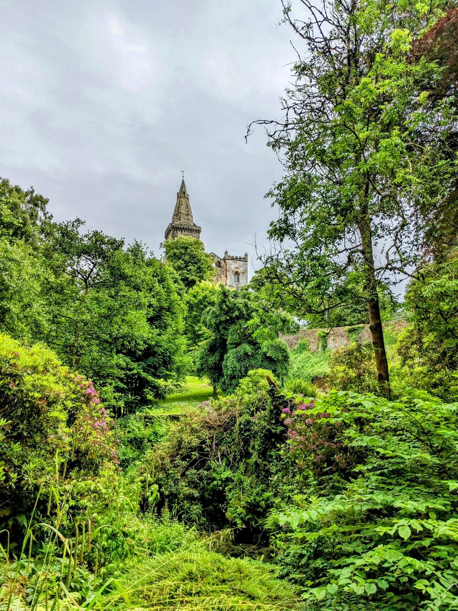 The tower of Dunfermline Abbey glimpsed through the lush green trees of Pittencrieff Glen.