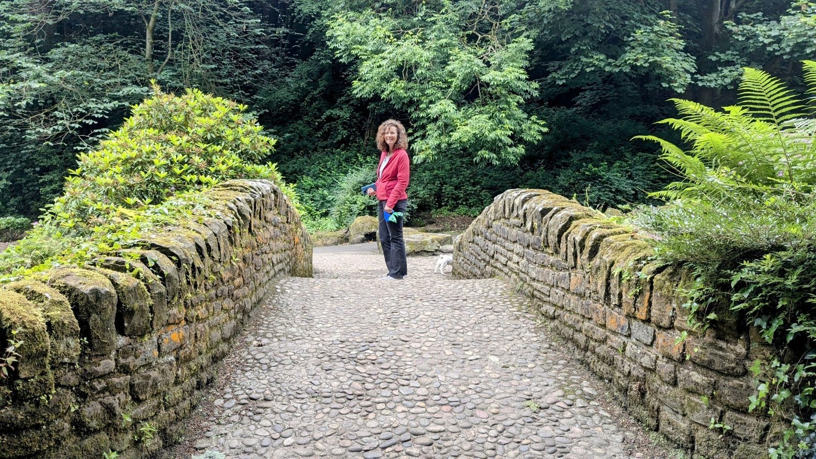 A person standing on an old cobbled stone bridge over the wooded gorge in Pittencrieff Glen, Dunfermline.