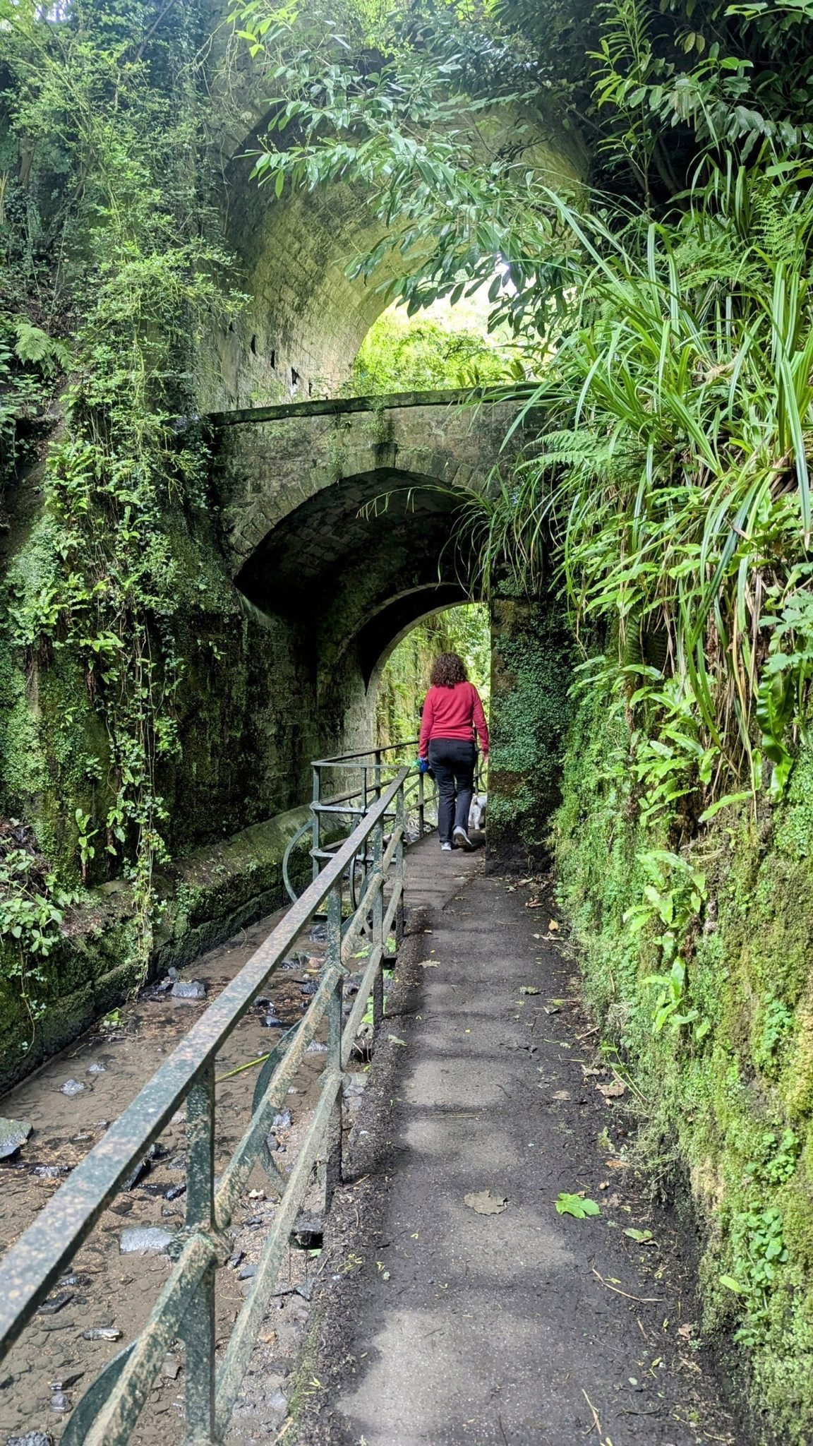 A path in Pittencrieff Glen leading beneath a stone arch bridge, walls draped in greenery.