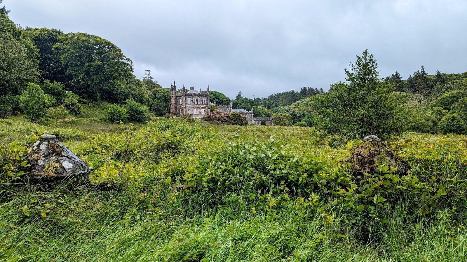 Glenbarr Abbey seen across an overgrown meadow of grasses and shrubs with two mossy boulders in the foreground.