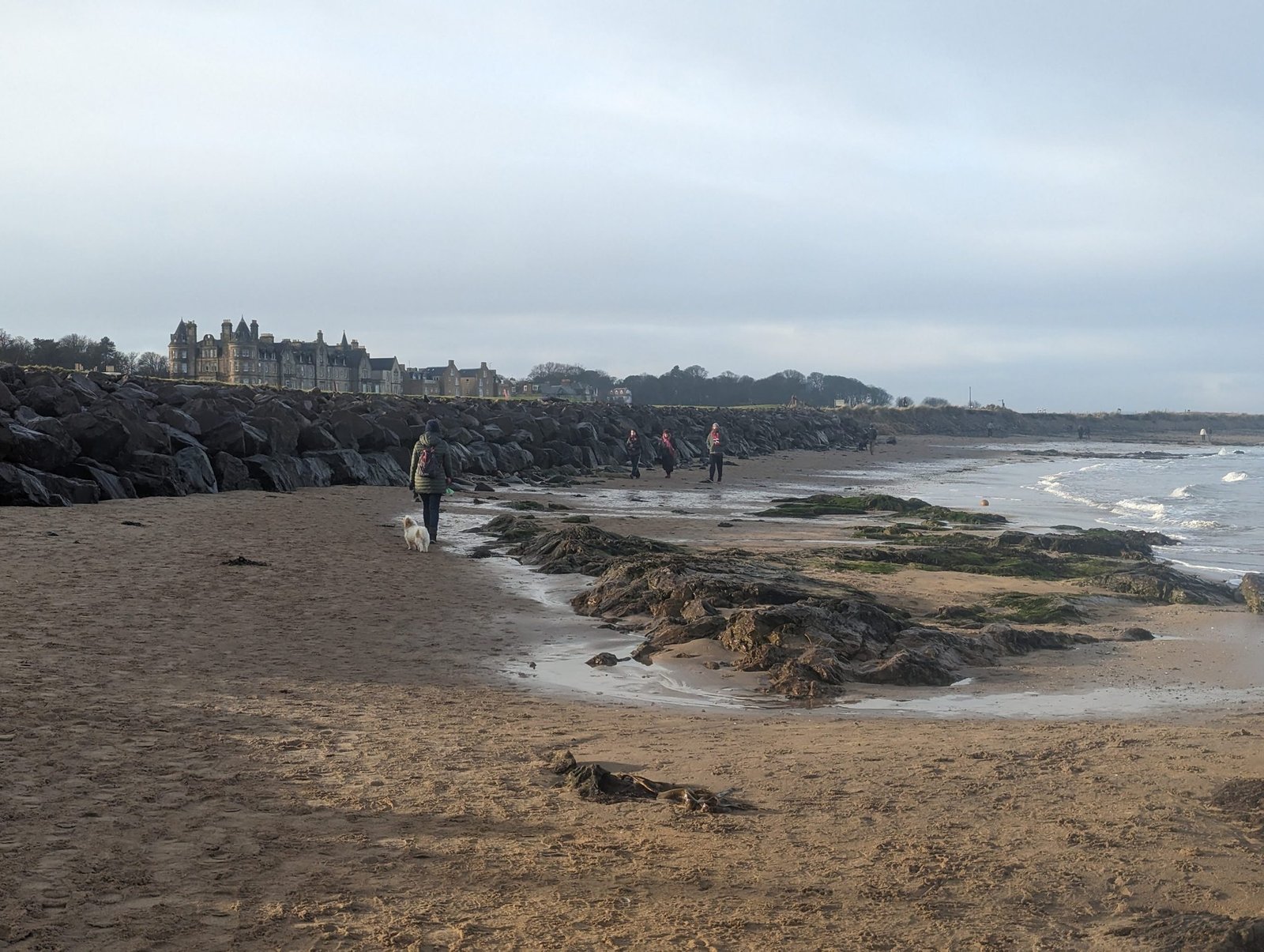 West Bay beach at North Berwick on a winter's day with the grand Victorian seafront terraces behind and a walker and dog on the sand.