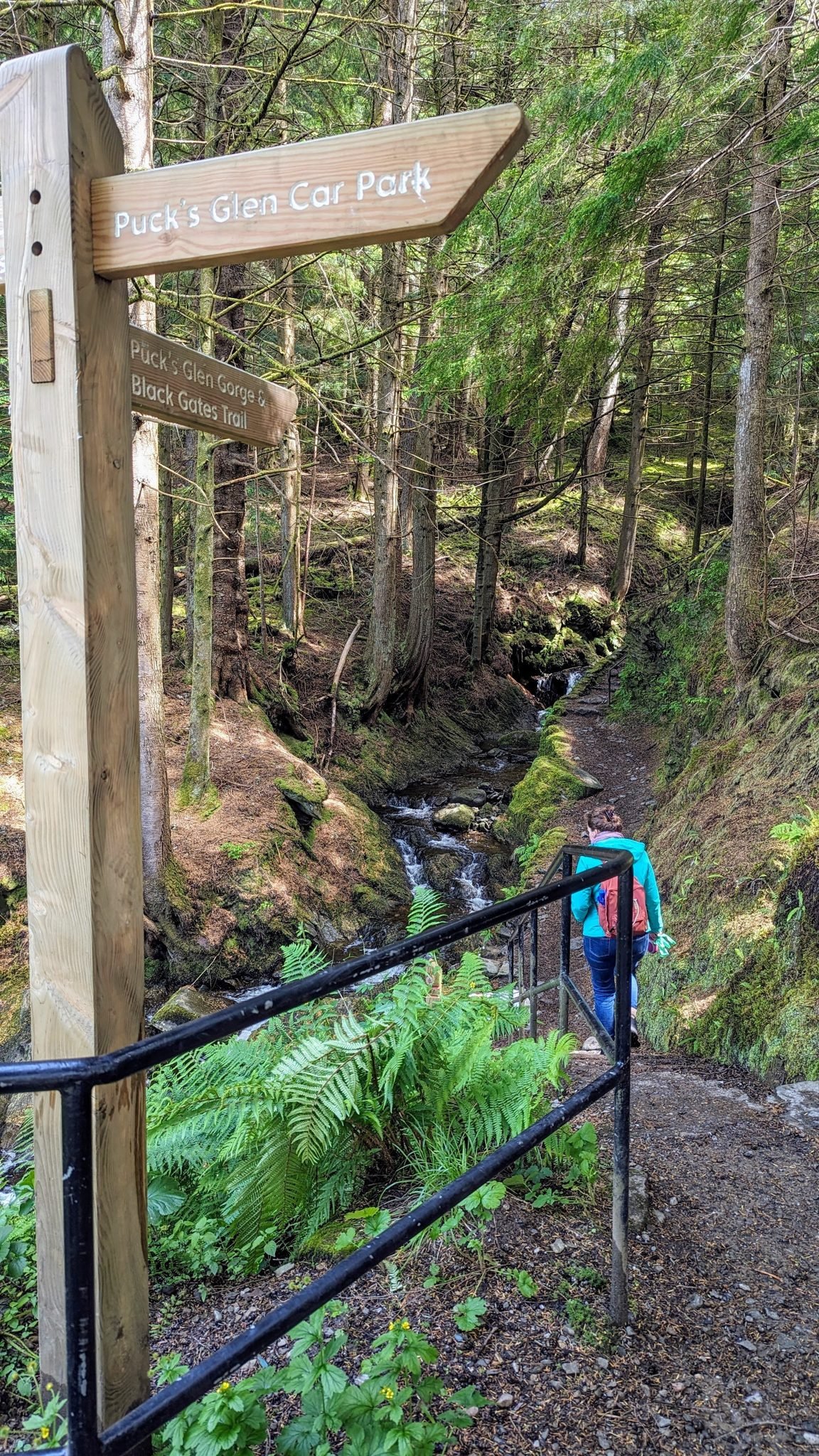 A wooden 'Puck's Glen Car Park' signpost beside the forest path at the start of the walk.