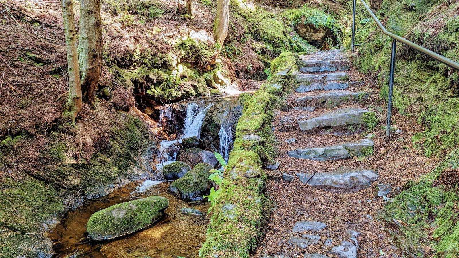 Stone steps and a moss-edged path climbing beside a small waterfall in Puck's Glen.