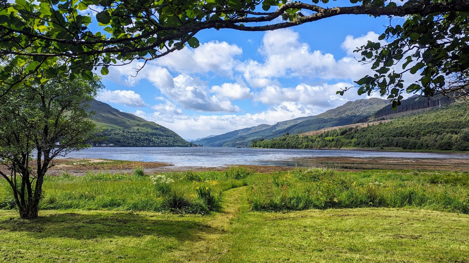 Loch Long and the Arrochar Alps framed by trees on the A83 approach to Argyll.