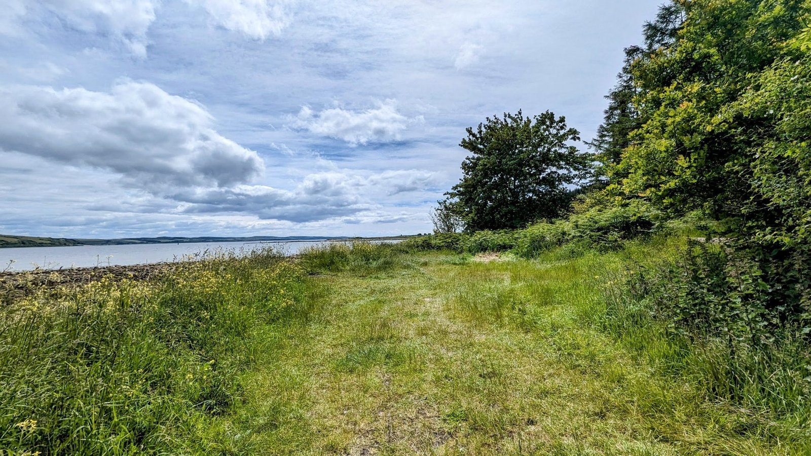 An open grassy clearing beside the shore road on the Kyles of Bute, looking out over calm water to the hills.