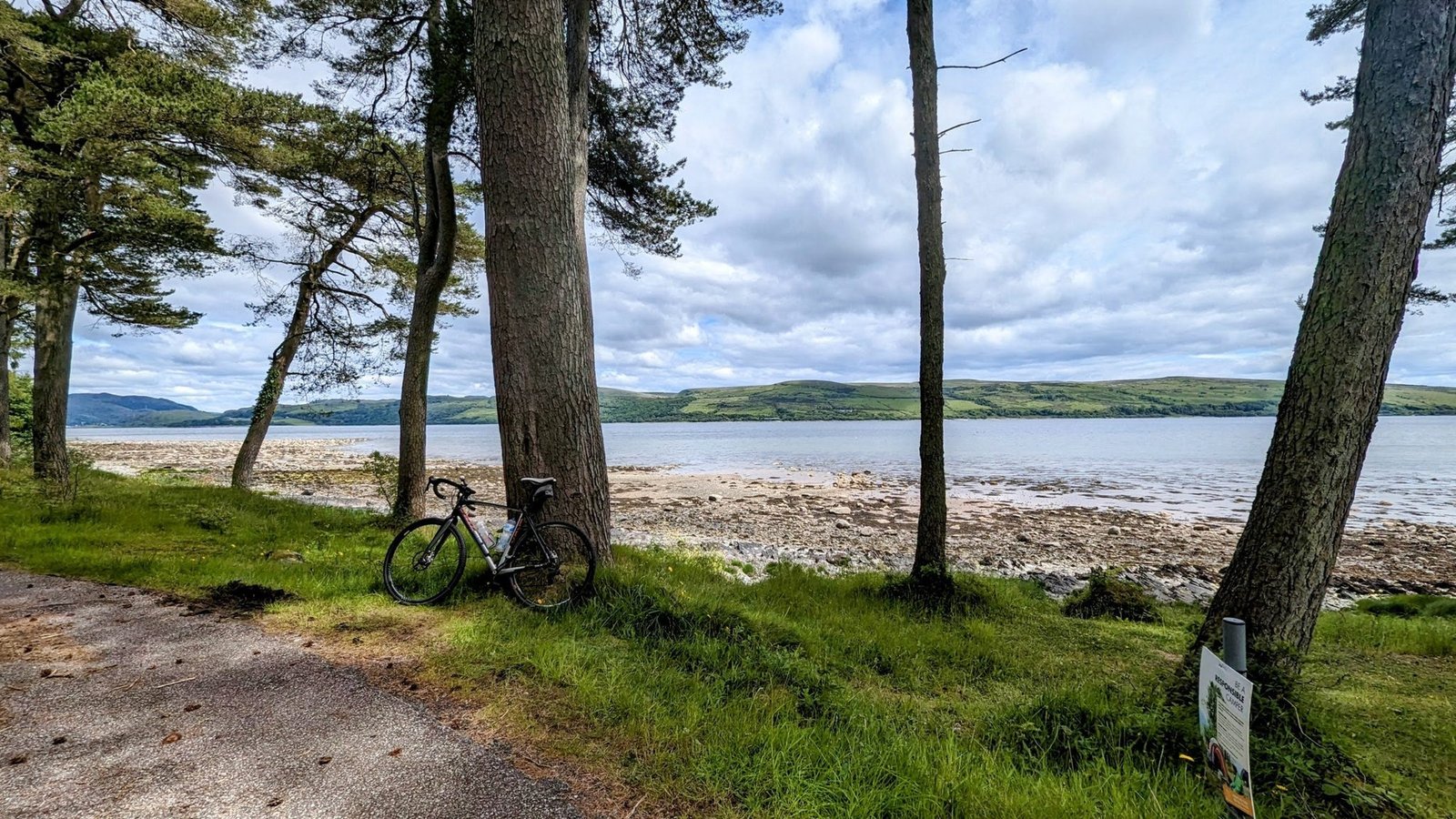 A bike leaning against Scots pines on the grassy shore of the Kyles of Bute south of Kames, shingle beach and hills across the water.